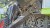 IMG-20260314-WA0027.jpg