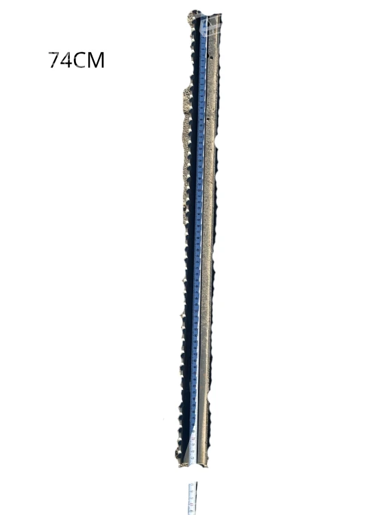 74CM.png